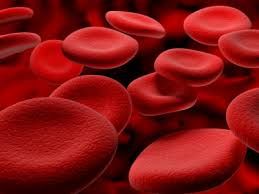 Warfarin Management and Monitoring